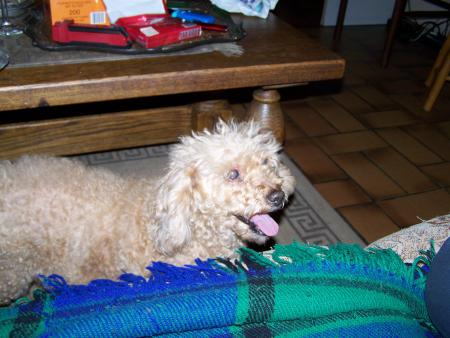 Evidemment, Vanille a senti le go�t