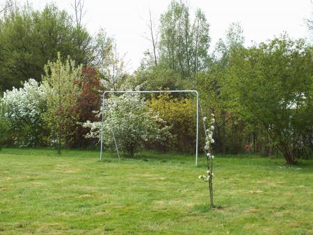 Bonjour et bonne journ�e