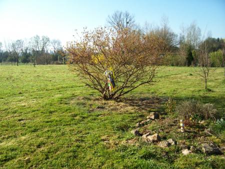 Les cloches ont aussi pendu les jeux de Tonton