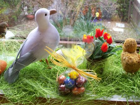 Contente de mon �talage