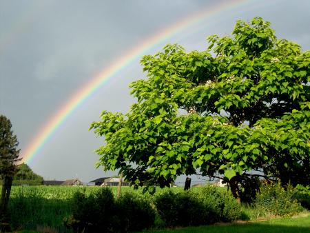 Un bel arc en ciel. La pluie a ses beaut�s