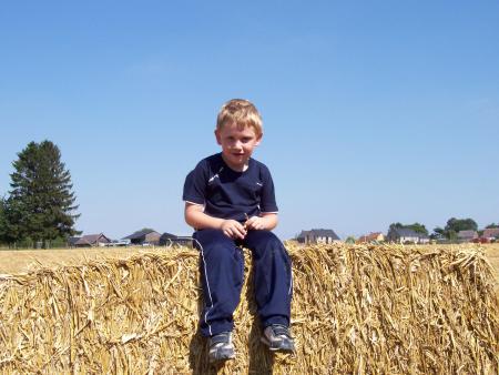 Les moissons ! William s'amuse