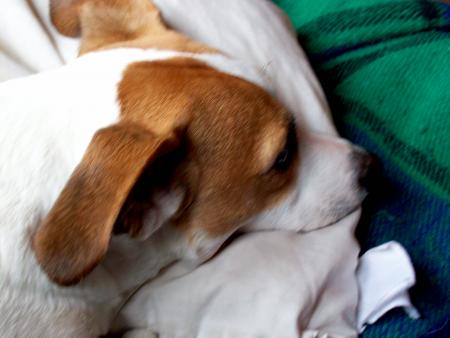 Ah qu'il est bien sur le 