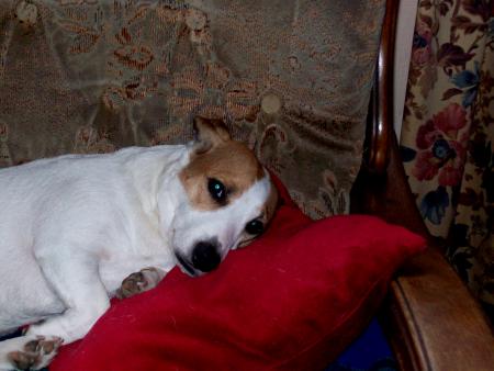 Un repos bien m�rit�