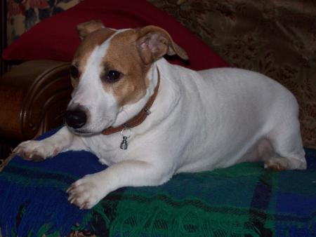 Philibert attent patiemment Beno�t !