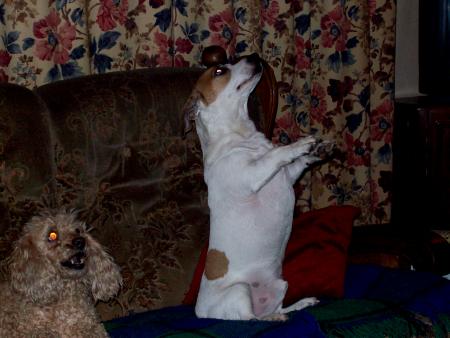 Me voici quand j'ai envie d'avoir quelque chose 