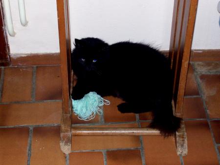 William avait raison