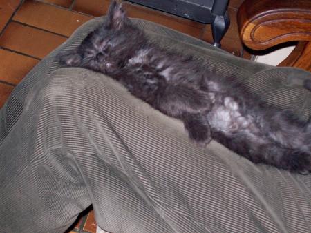 Au moins un heureux !