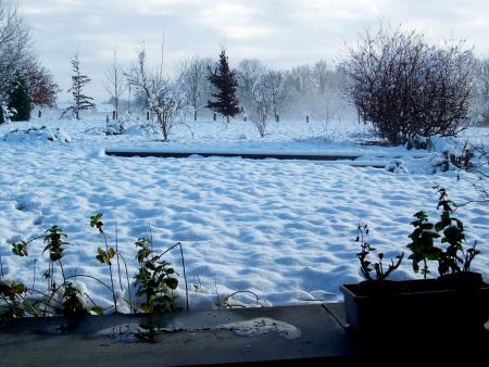 Et voici un peu de neige !